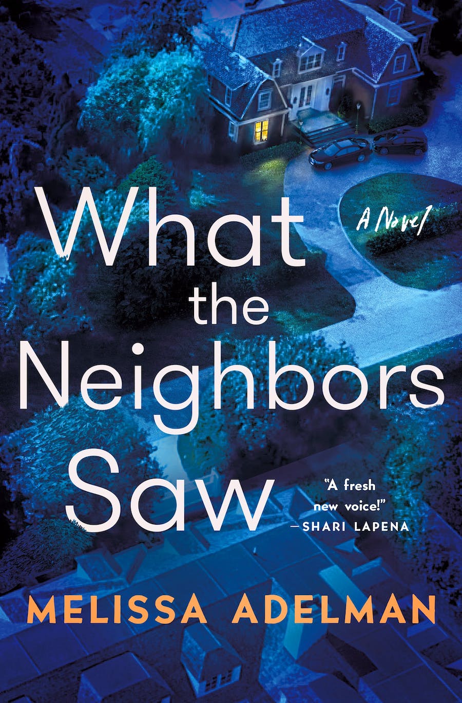 What the Neighbors Saw by Melissa Adelman